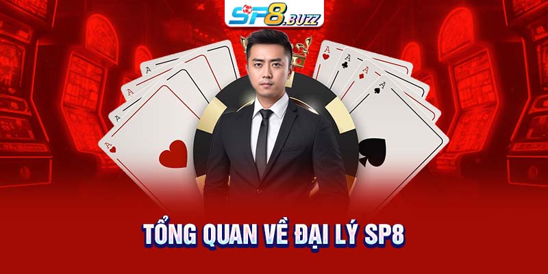 Tổng quan về đại lý SP8